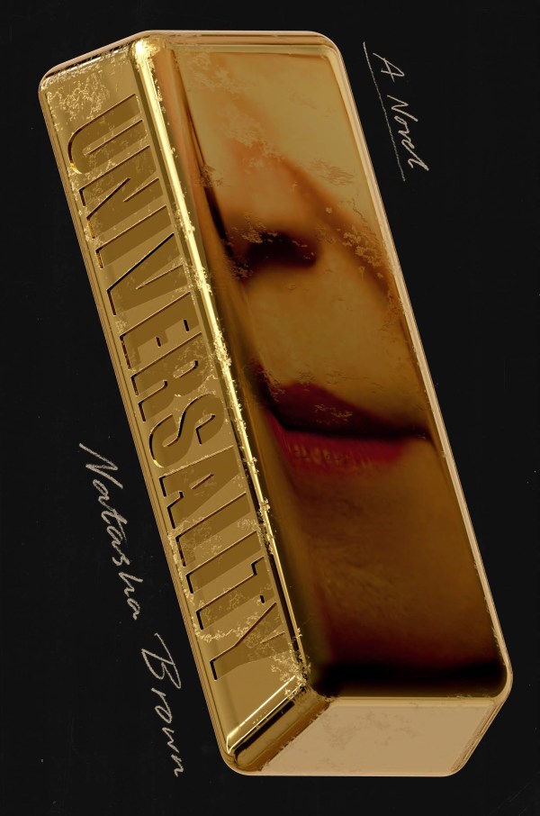 Universality: A Novel