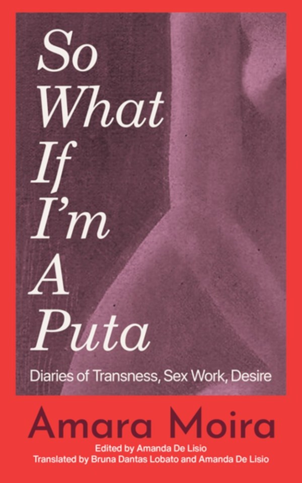 So What If I'm A Puta: Diaries of Transness, Sex Work, Desire