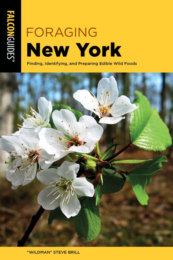Foraging New York:  Finding, Identifying, and Preparing Edible Wild Foods