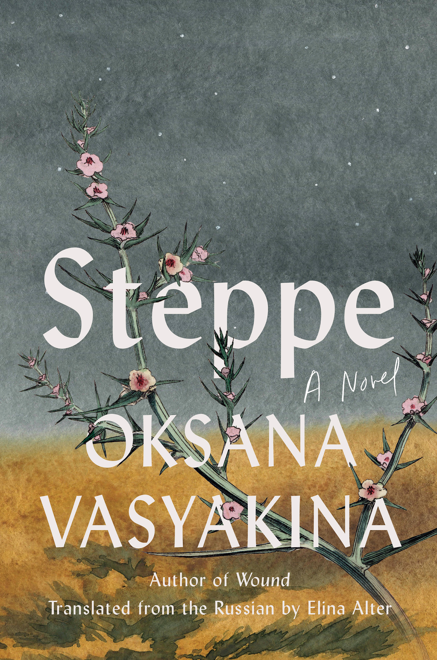 Steppe: A Novel