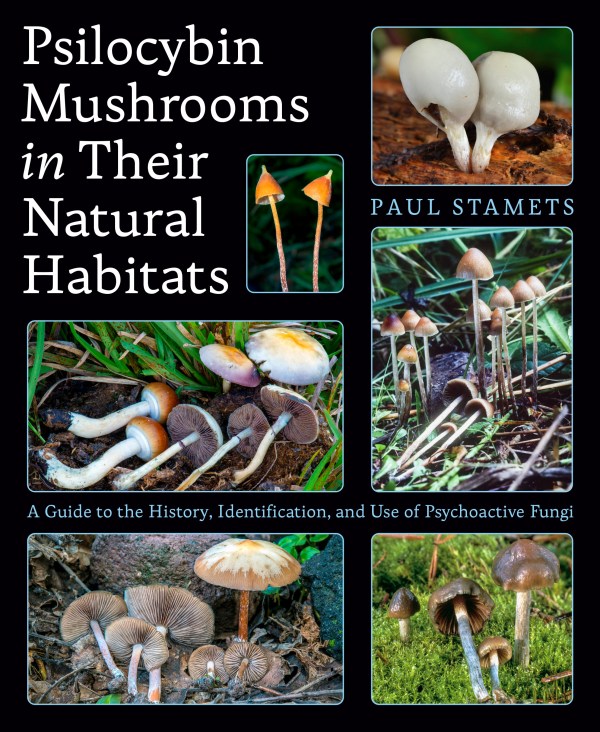 Psilocybin Mushrooms in Their Natural Habitat