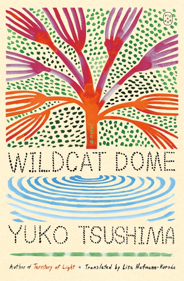 Wildcat Dome